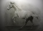 Pferde – Zeichnungen und Gemälde